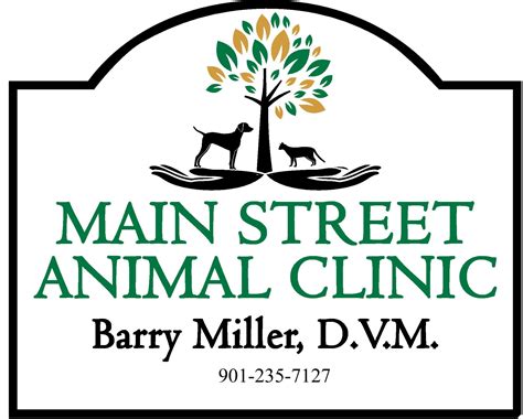 Main street animal clinic - Main Street Animal Clinic provides quality veterinary care for pets throughout their life. Read reviews from satisfied customers and book an …